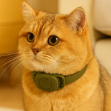 Intelligent pet  collar control board enclosure program design