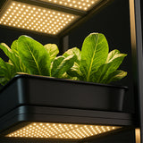 Plant growth light circuit board enclosure program design