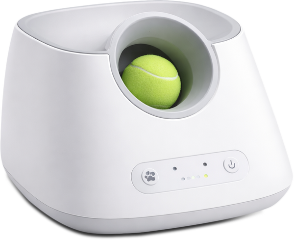 Automatic Ball Launcher