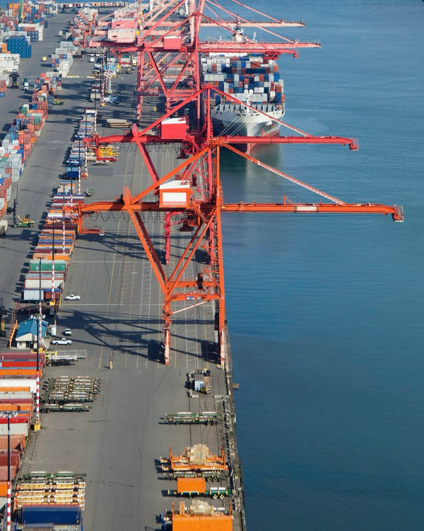 Customization & Supply Chain